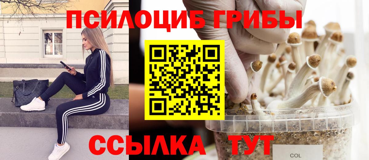 Псилоцибиновые грибы MAGIC MUSHROOMS Чехов